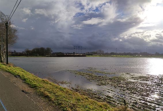 Als het nu eens fel ging vriezen... - Hamont-Achel