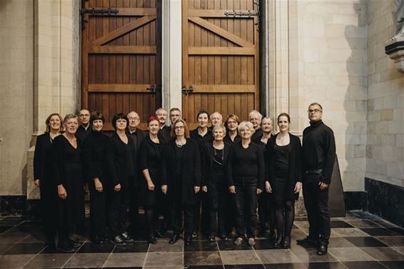 Amicantus zingt in Sint-Willibrorduskerk Heusden - Beringen