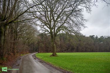 ANB zoekt beheerder voor natuurpercelen in Reppel