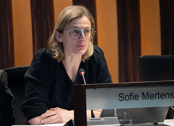 ANPR-camera handhaaft doorgang Molsekiezel-Dorp - Lommel