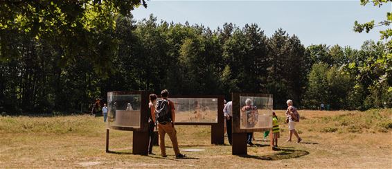 Archeologiedag in Wijshagen - Oudsbergen