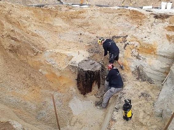 Archeologische vondsten op Albert Heijn-site - Hechtel-Eksel