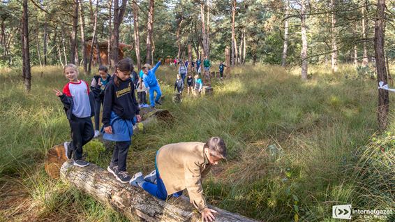 Attractieve belevingsloop aan de Soeverein - Lommel