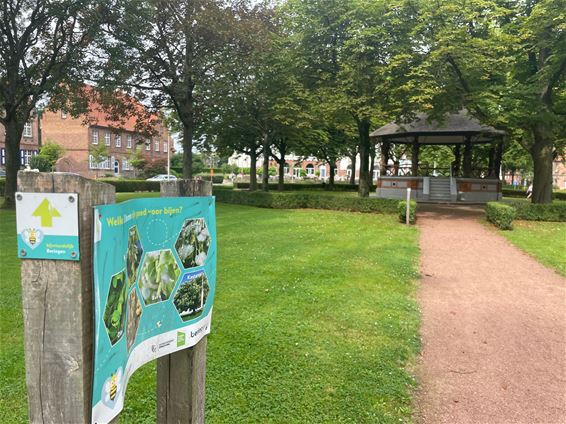 Avontuurlijke bijenwandeling - Beringen