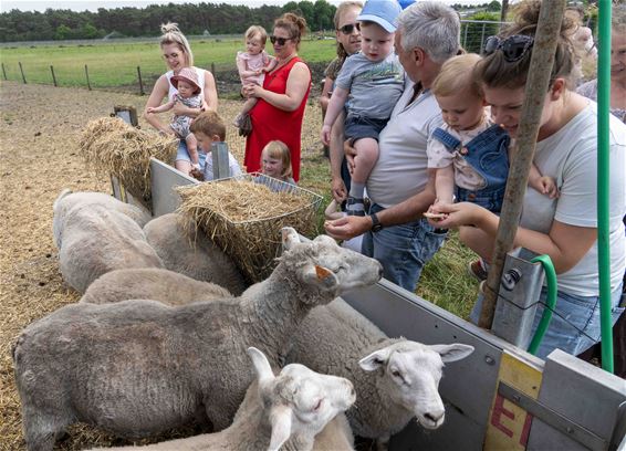 Babyfestival doet zorgboerderij aan - Lommel