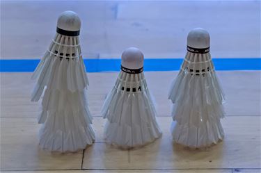 Badmintoncriterium start donderdag in Hamont-Achel - Hamont-Achel