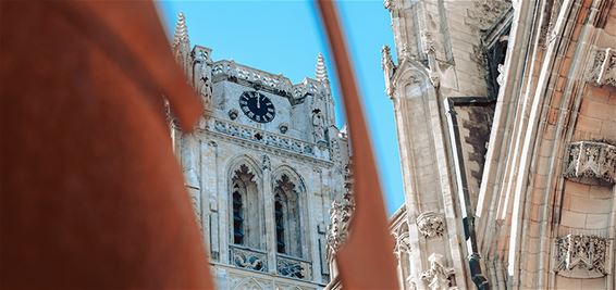 Basiliektoren uit de steigers - Tongeren