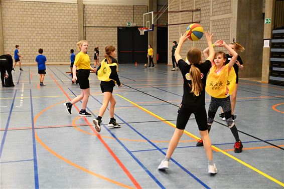 Basisscholen basketten in kader van MOEV - Lommel