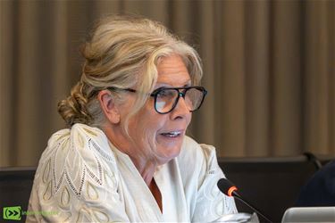 Beeldig Lommel blijft nazinderen op gemeenteraad - Lommel