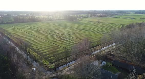 Beleef het witteren als wandeling - Lommel