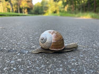 Ben jij op goede weg? - Beringen