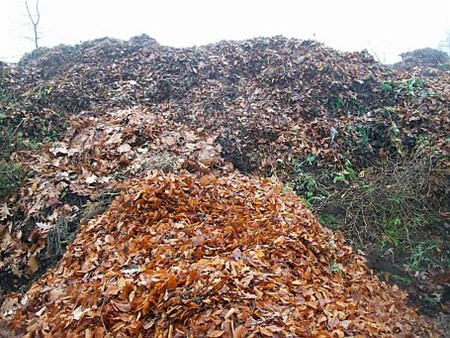 Bergen vol kleuren - Lommel