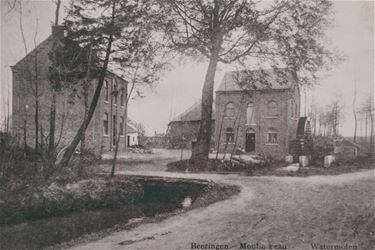 Beringse brulmolen - Beringen