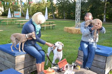 Beringse hondenbar nu ook op foodtruckfestival - Beringen