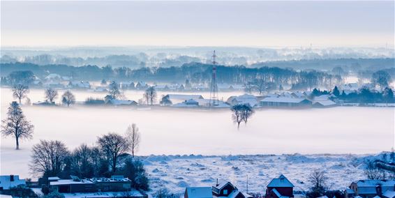 Besneeuwd Pelt - Pelt