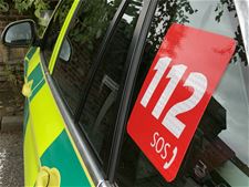 Bestelwagen botst tegen twee bomen - Bree