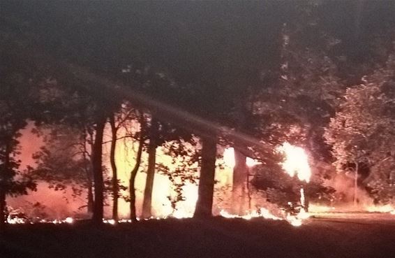 Bestelwagen uitgebrand in bos aan Achelse Kluis - Hamont-Achel