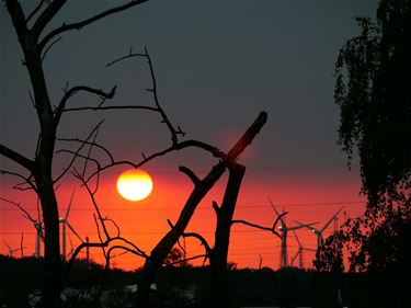 Beter weer - Beringen & Leopoldsburg