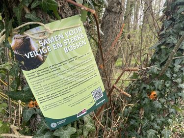 Bever zorgt voor nieuwe aanpak - Beringen