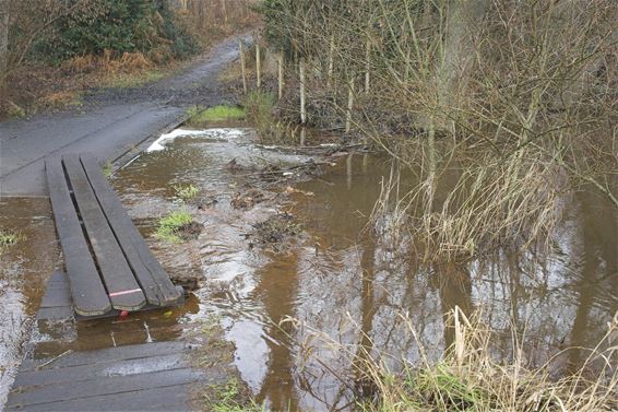 Bevers thuis in Beringen - Beringen