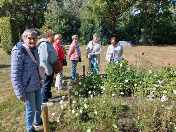 Bezoek aan de bloemenpluktuin Fieflora - Beringen
