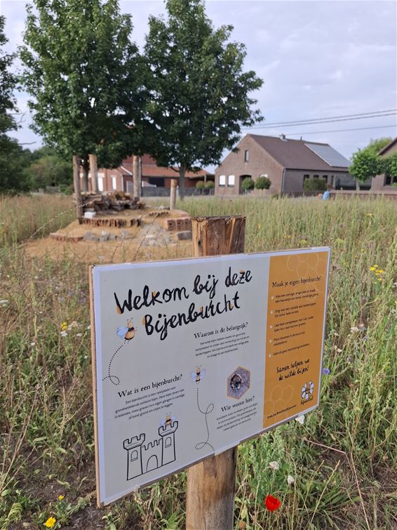 Bree - Bijenburcht in Bree: veilige thuishaven voor bijen