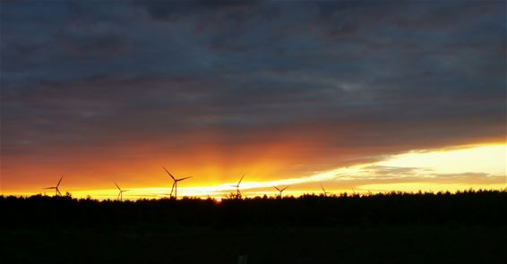 Bijzondere zonsondergang in Kattenbos - Lommel