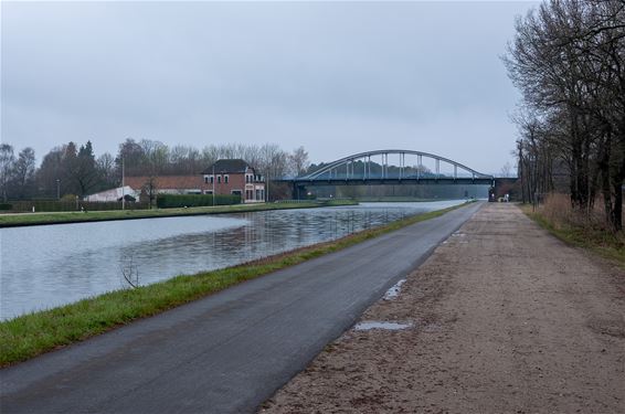 Blauwalg in kanalen: wees voorzichtig