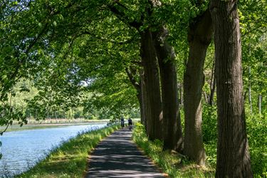 Blauwalgen in kanaal Bocholt-Herentals