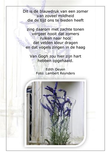 Blauwdruk van een zomer - Beringen & Leopoldsburg