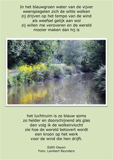 Blauwgroene vijver - Beringen & Leopoldsburg