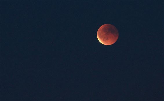 Bloedmaan boven Peer - Peer