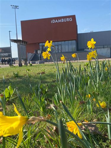 Bocholt verwelkomt de lente met kleur en zon - Bocholt