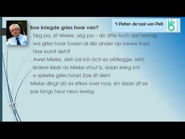 Lommel - Boe kriedde gries hoar van?