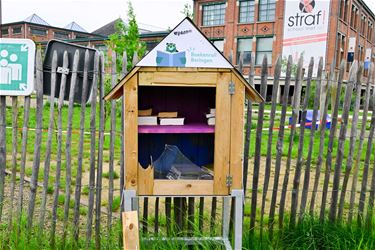 Boekenkastje vernield - Beringen