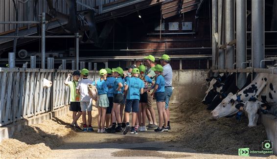 BOerderij Op STelten bij Bram en Christine - Pelt