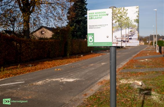 Bomen Lindestraat en Steenovenlaan vervangen - Pelt