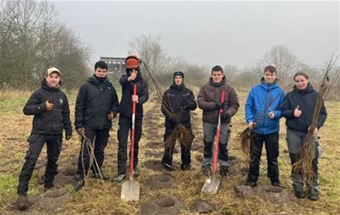 Boompjes voor De Warmste Week - Bocholt