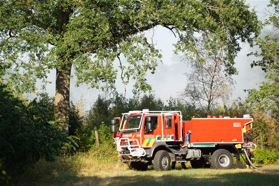 Bosbrand in Korspel - Beringen