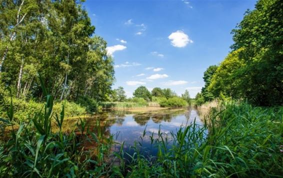 Bosfluencer zal natuurgebieden in beeld brengen - Genk