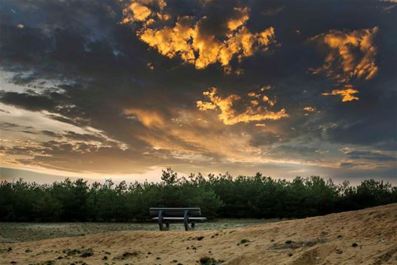 Bosland erkend als Nationaal Park (2) - Lommel