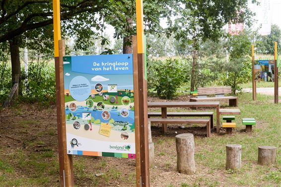 Bosland tot aan de vallei van de Zwarte Beek - Beringen