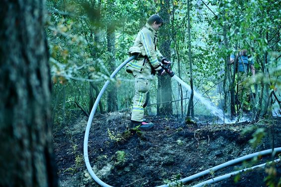 Brand flakkert even terug op - Beringen