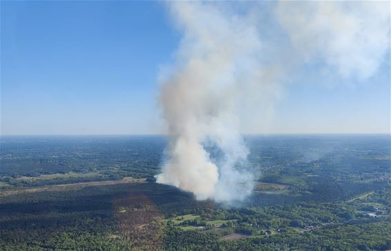 Brand op militair domein mogelijk aangestoken - Beringen & Leopoldsburg