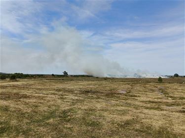 Brand op schietterrein Leopoldsburg - Lommel & Leopoldsburg