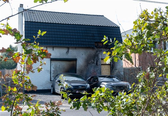 Brandbom naar woning in Torenstraat gegooid - Pelt