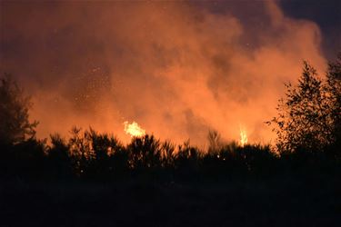 Brandhaarden leggen Sanicole Airshow stil