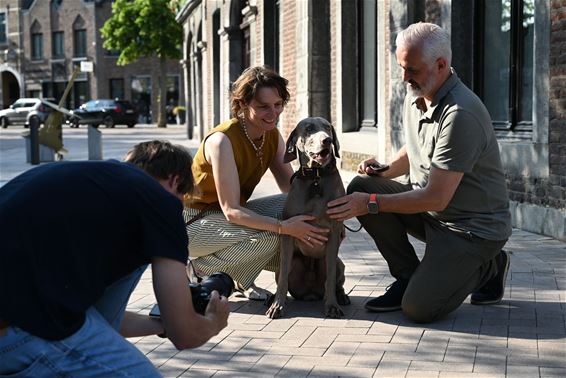 Bree - Bree en de hondenambassadeurs
