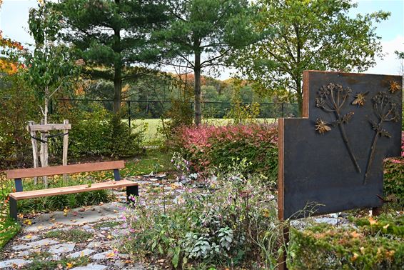 Bree staat stil bij sterrenkindjes