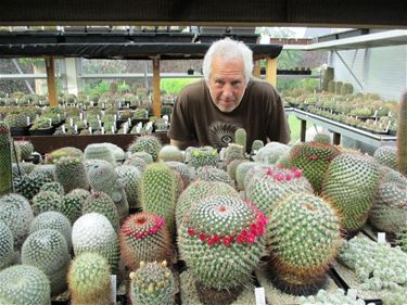 Cactussen kijken bij Paul Theunis - Beringen
